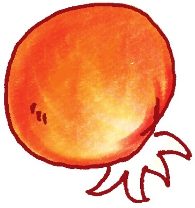 西红柿简笔画