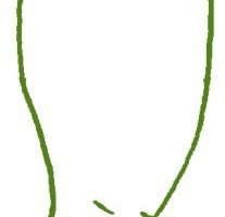 胡萝卜简笔画