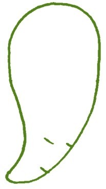 胡萝卜简笔画