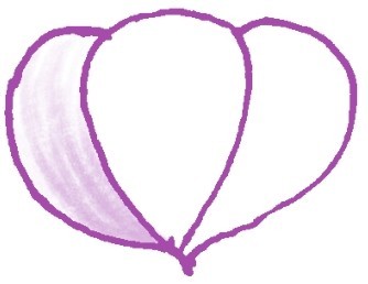 大蒜简笔画