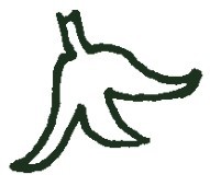 豌豆简笔画