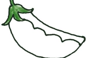 豌豆简笔画