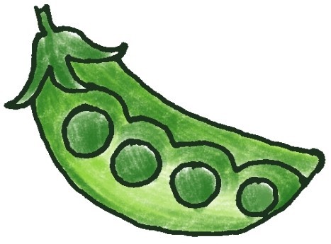 豌豆简笔画