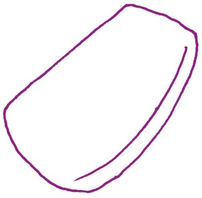 莲藕简笔画