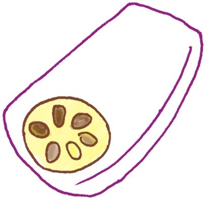 莲藕简笔画