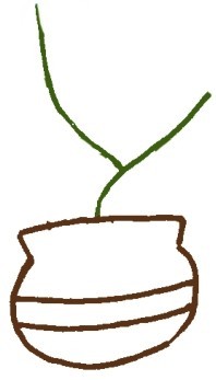 菊花简笔画