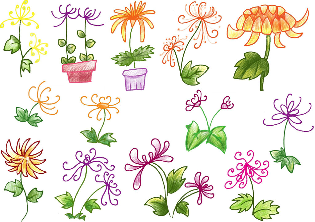 菊花简笔画