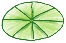 荷花简笔画
