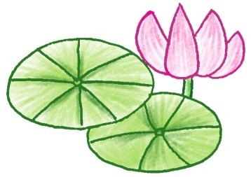 荷花简笔画