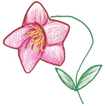 百合简笔画