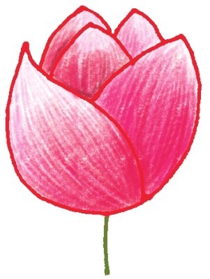 玫瑰简笔画