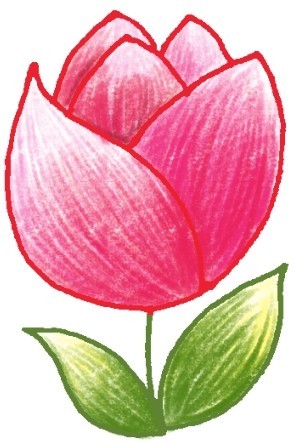 玫瑰简笔画