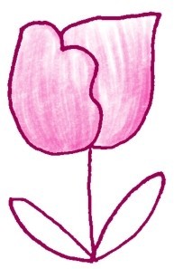 郁金香简笔画