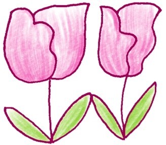 郁金香简笔画