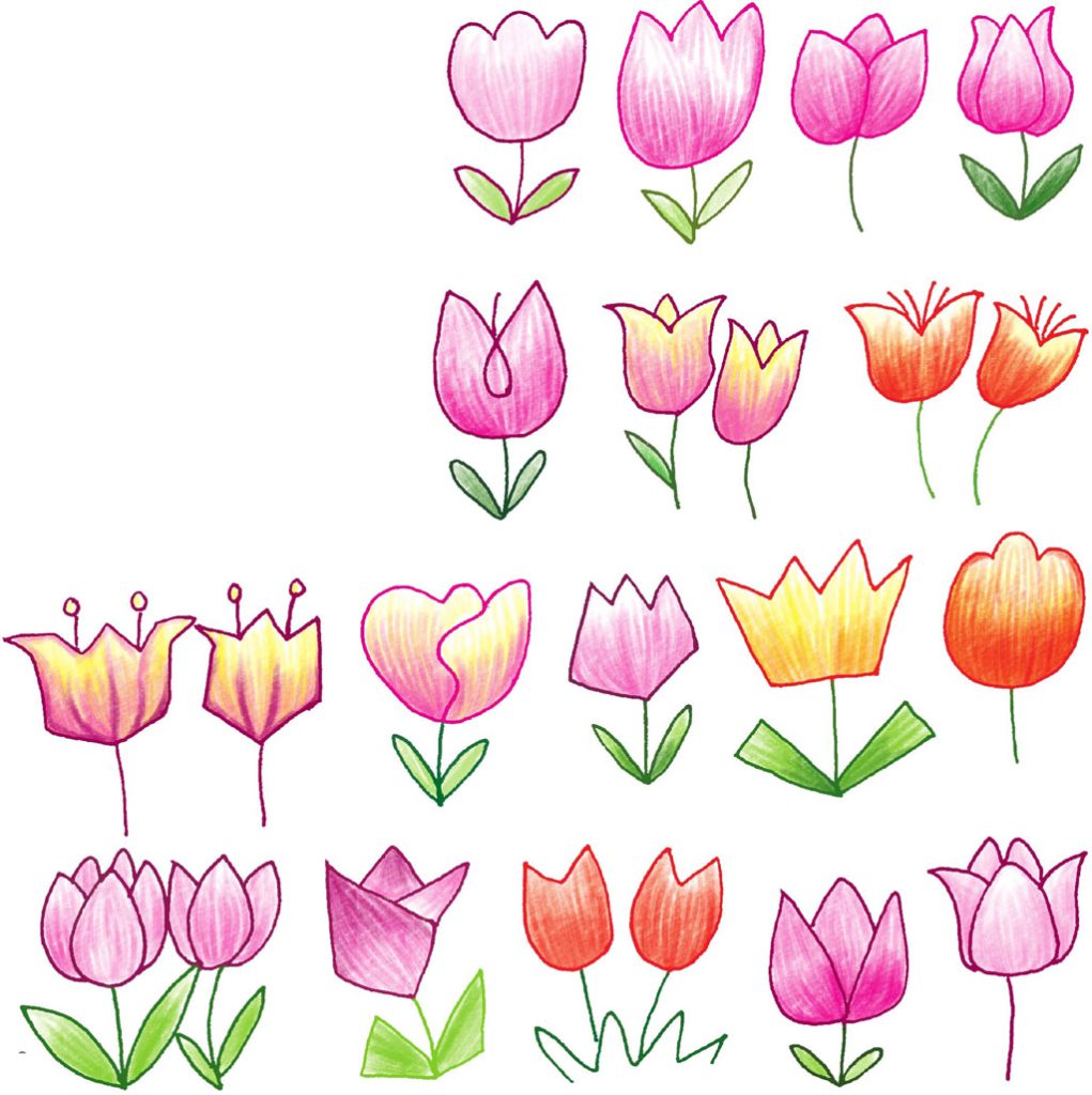 郁金香简笔画