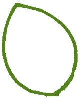 马蹄莲简笔画