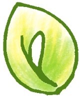 马蹄莲简笔画