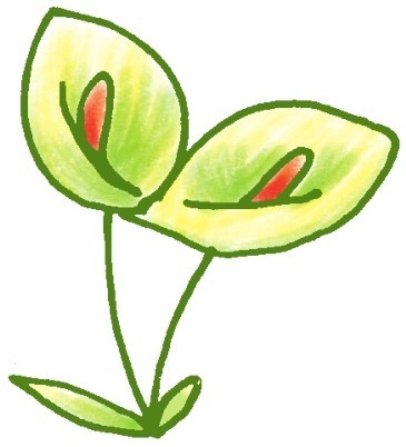 马蹄莲简笔画