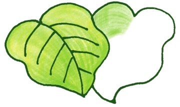 龟背竹简笔画