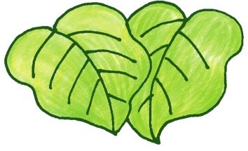 龟背竹简笔画