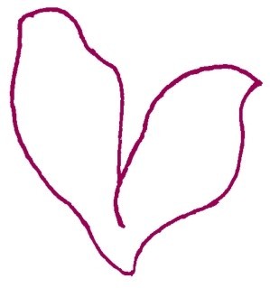 玉兰简笔画