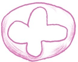 牵牛花简笔画