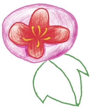 牵牛花简笔画