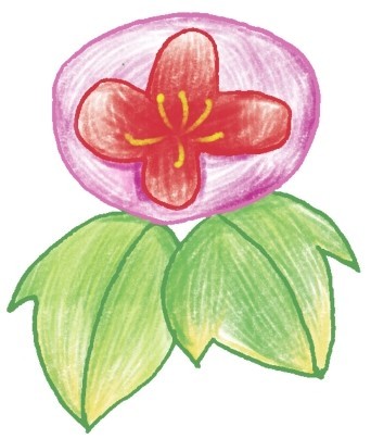 牵牛花简笔画