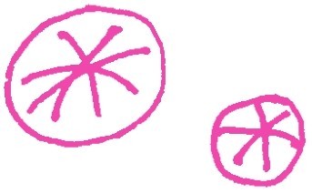 蒲公英简笔画