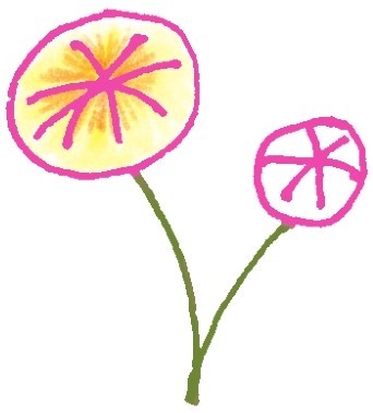 蒲公英简笔画