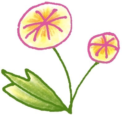蒲公英简笔画