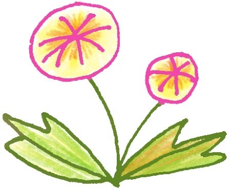 蒲公英简笔画