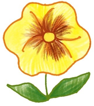 三色堇简笔画