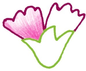 康乃馨简笔画
