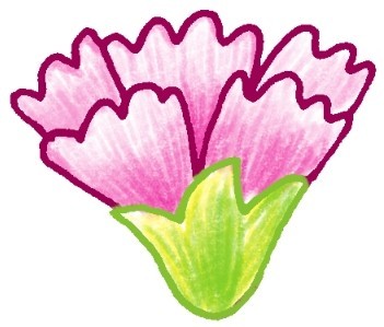 康乃馨简笔画