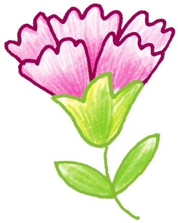 康乃馨简笔画