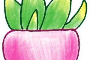 芦荟简笔画