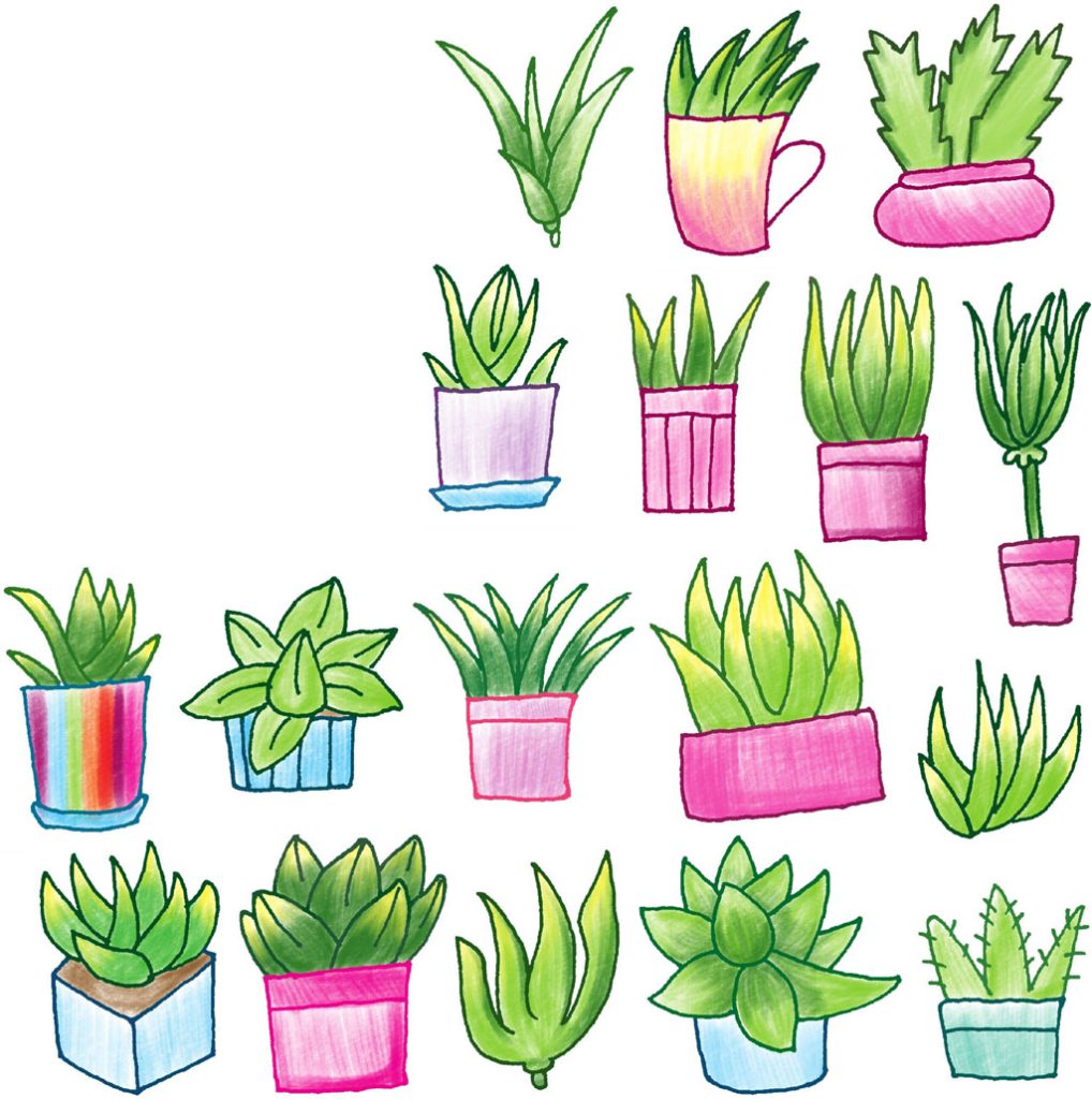 芦荟简笔画