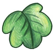 倒挂金钟简笔画