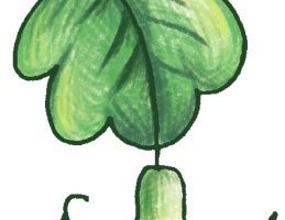 倒挂金钟简笔画