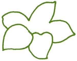 水仙花简笔画