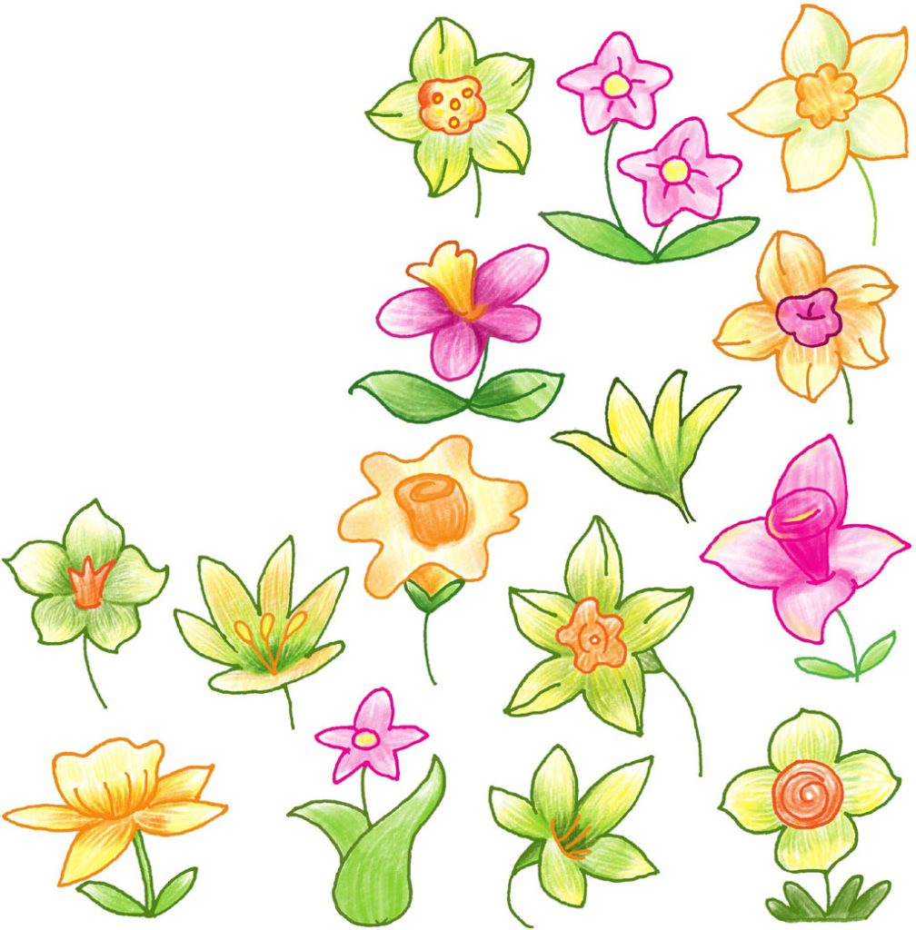 水仙花简笔画