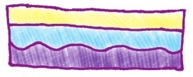 海棠简笔画