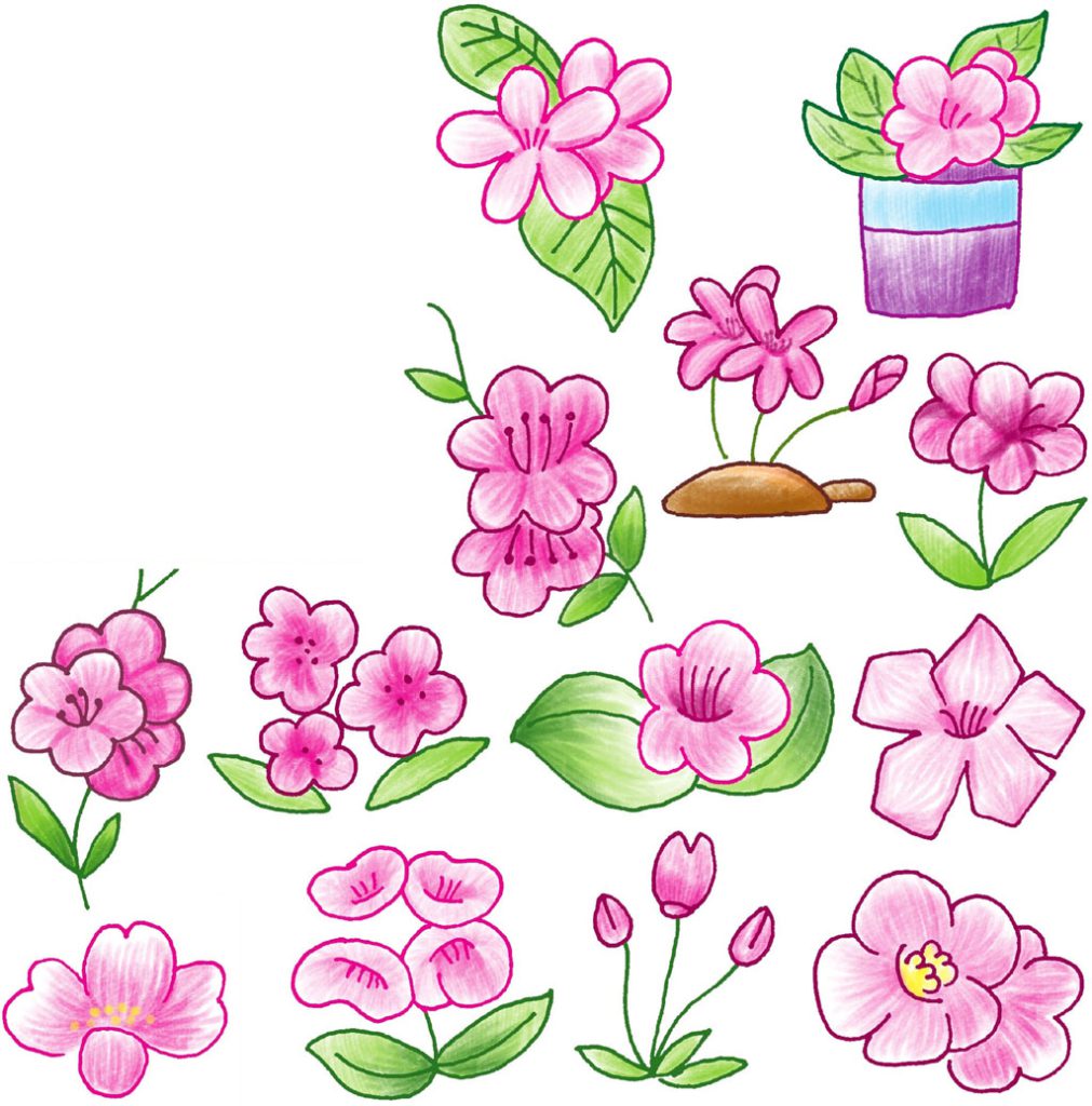 海棠简笔画