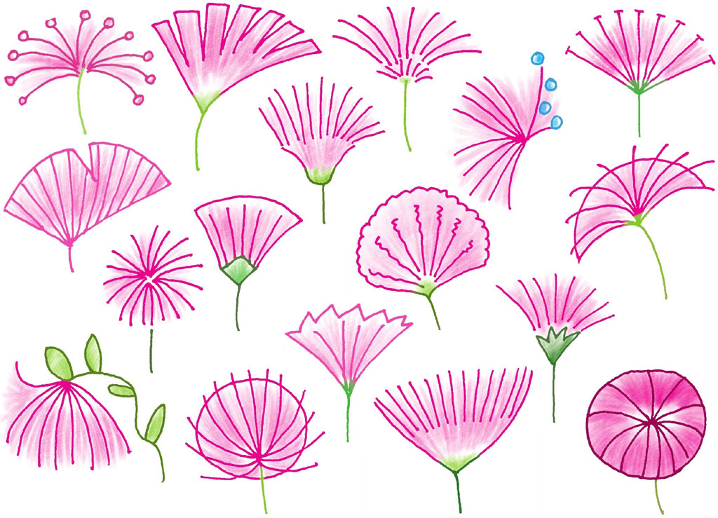 合欢花简笔画