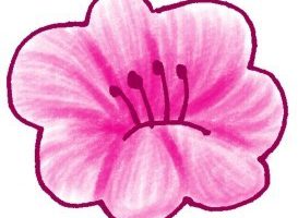 茉莉花简笔画