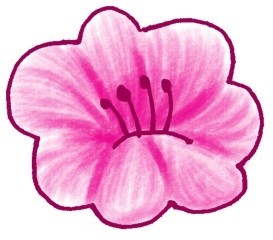 茉莉花简笔画