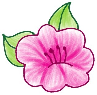 茉莉花简笔画