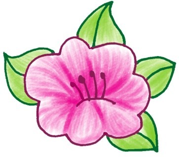 茉莉花简笔画