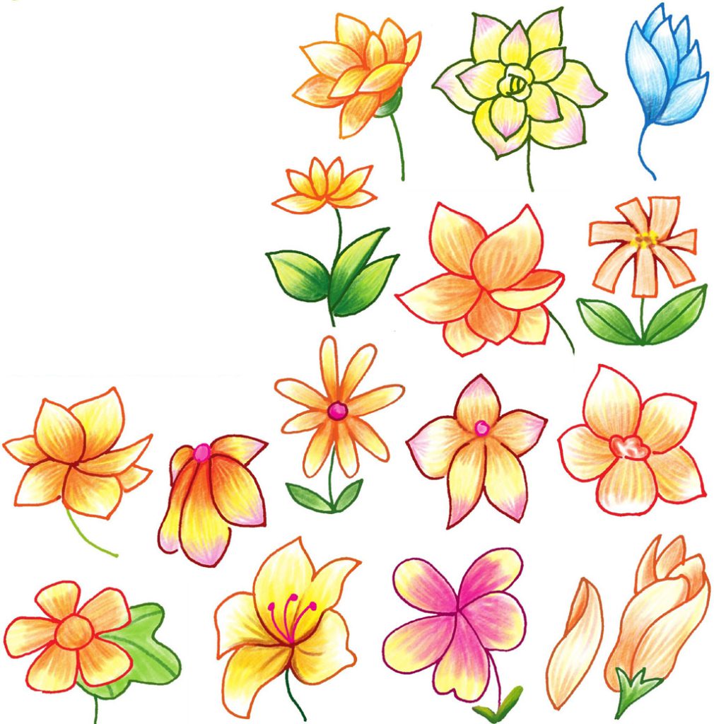 茉莉花简笔画